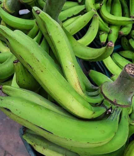 Rich Taste Fresh Plantain Size: 4/5/6 Hands Per Carton Box