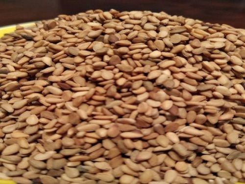 Easy To Digest Sesame Seeds