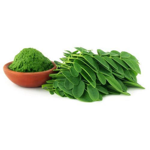Healthy and Natural Moringa Leaf Powder