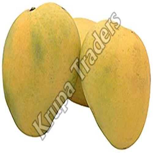 Organic and Natural Fresh Rajapuri Mango