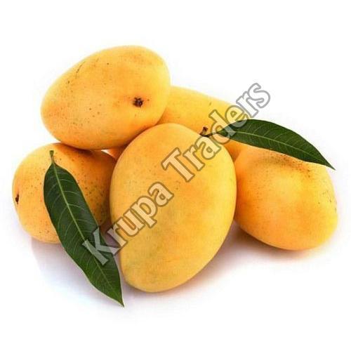 Yellow Organic And Natural Fresh Valsadi Mango