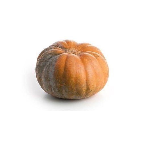 A Grade Fresh Pumpkin