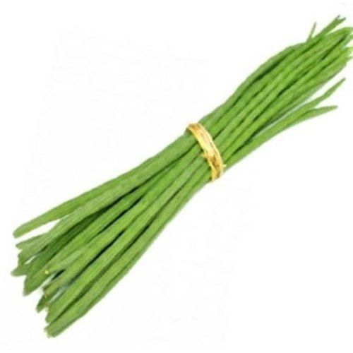 Green Color Fresh Drumstick