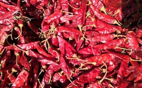 Indo Red Spicy Chili