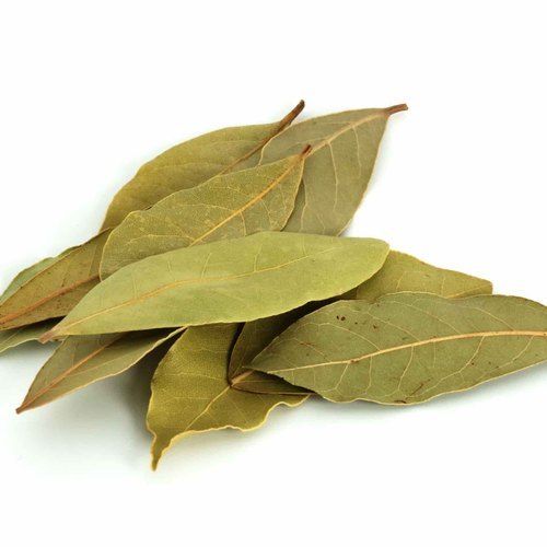 Green Leaf Bay Dry Leaves