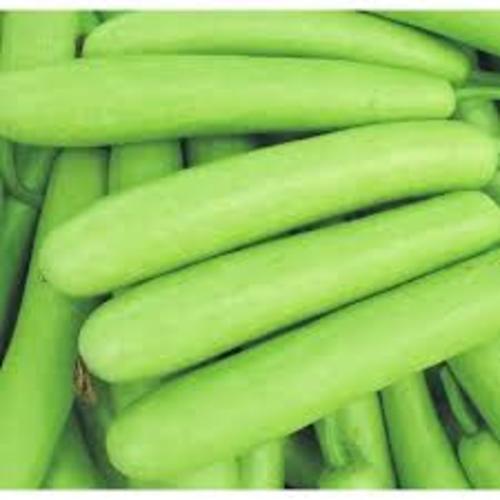 Healthy and Natural Fresh Bottle Gourd