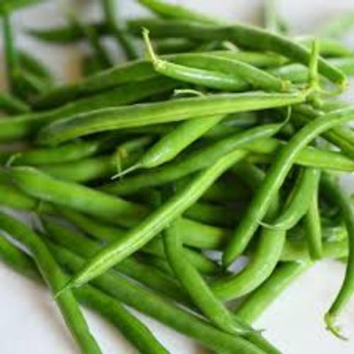 Common Healthy And Natural Fresh Green Beans