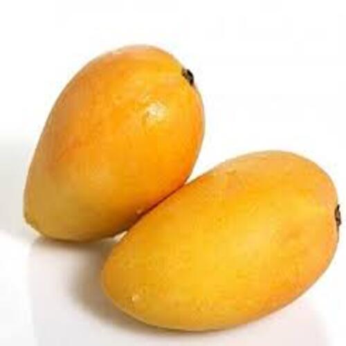 Healthy and Natural Fresh Mango