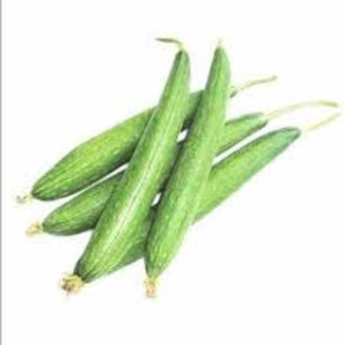 Healthy and Natural Fresh Sponge Gourd