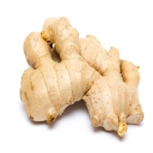 Organic And Natural Fresh Ginger Shelf Life: 0-1 Months