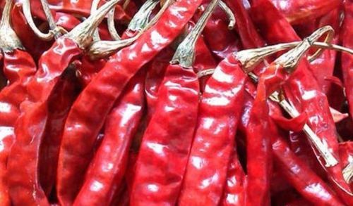 Organic Dried Red Chillies