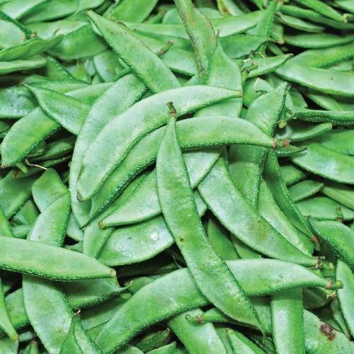 Fava Beans - Potassium 332 mg, Magnesium 8%, Protein 8 g | Very Good Quality, Natural Taste, Fresh Green Broad Beans