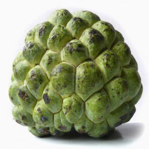 Healthy and Natural Fresh Custard Apple - 94 Calories, 4.4g Dietary Fiber, 60% Vitamin C | Sweet Taste, Non Harmful, Cool and Dry Storage