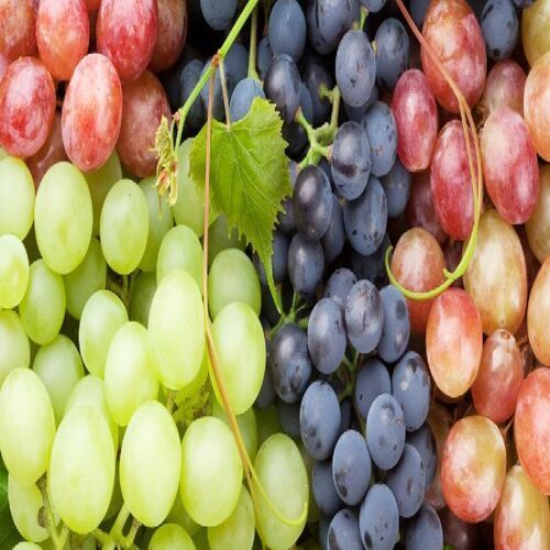 Black Organic And Natural Fresh Grapes