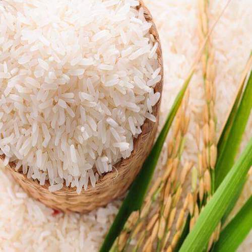 Organic and Natural Golden Non Basmati Rice