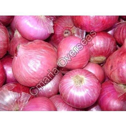 Organic and Fresh Pink Onion