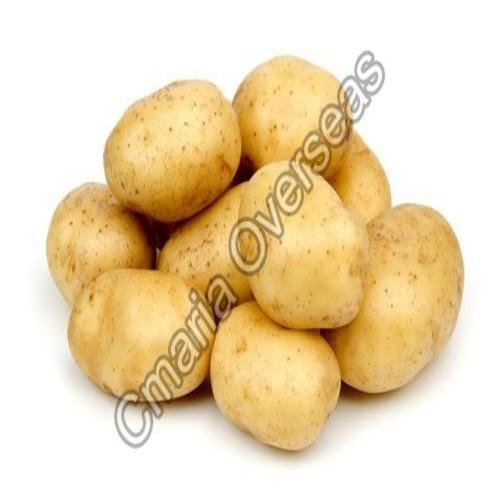 Organic and Natural Fresh Potato