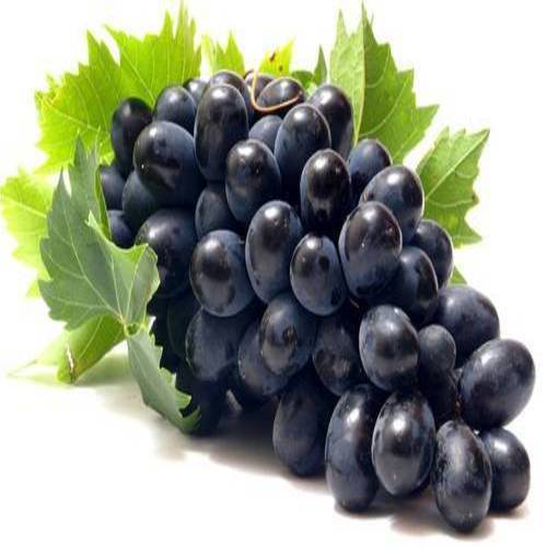 Organic and Natural Fresh Black Grapes