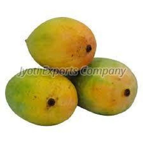 100% Pure Fresh Kesar Mango