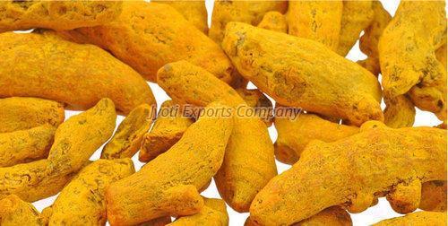 Yellow Best Quality Turmeric Finger