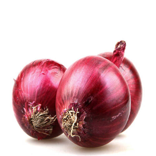 Healthy and Natural Fresh Red Onion