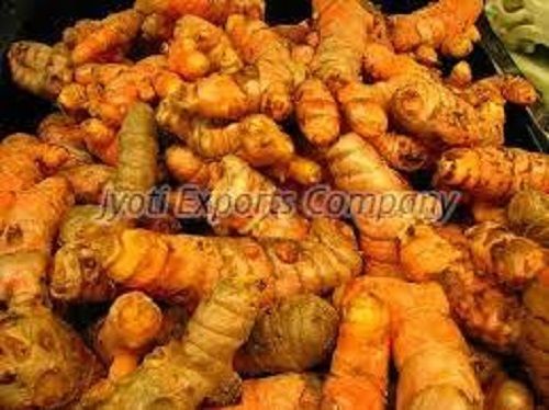 Natural Raw Turmeric Finger