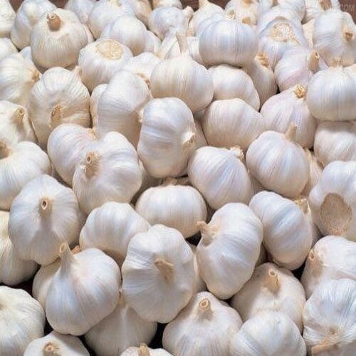 Cooked Organic And Natural Fresh Garlic