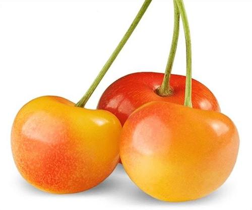 Organic and Healthy Golden Heart Cherry