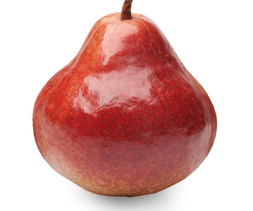 Organic and Healthy Red Bartlett Pears