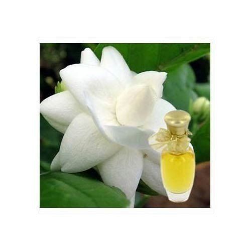Aromatic Motia Perfume Fragrance