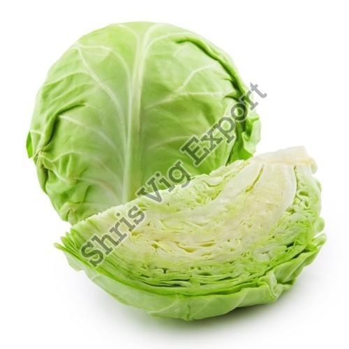 Healthy and Natural Fresh Cabbage