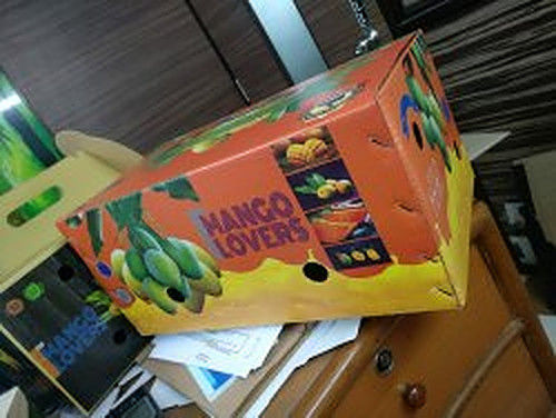 Kraft Paper Fruit Packaging Carton