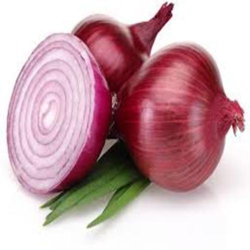 Organic and Natural Fresh Red Onion