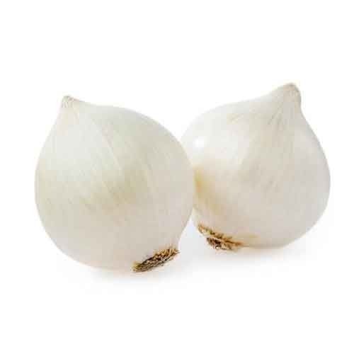 Organic and Natural Fresh White Onion