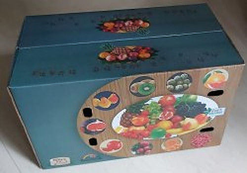 Printed Fruit Packaging Box