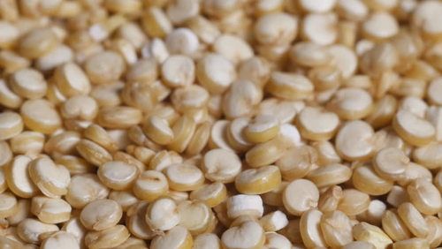 Dried White Quinoa Seeds