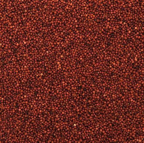 Natural Ragi Seeds (Finger Millet) Purity: 100%