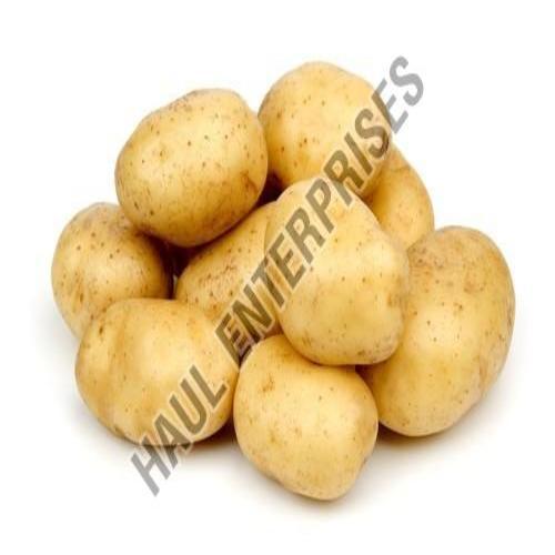 Organic And Healthy Fresh Potato