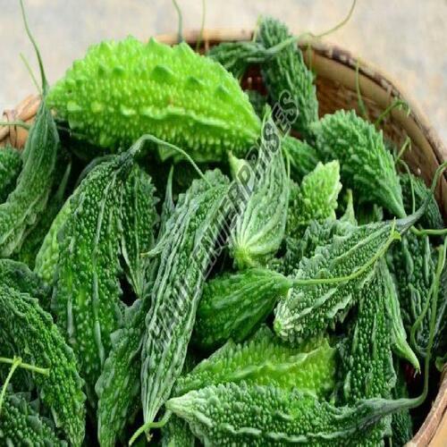 Organic And Natural Fresh Bitter Gourd Shelf Life: 1 Week