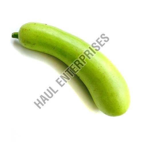 Organic and Natural Fresh Bottle Gourd