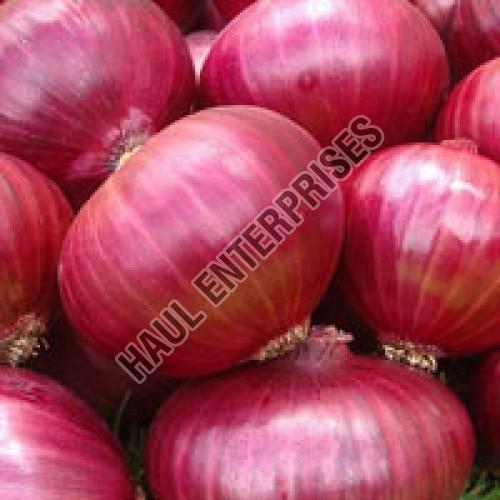 Organic and Natural Fresh Red Onion