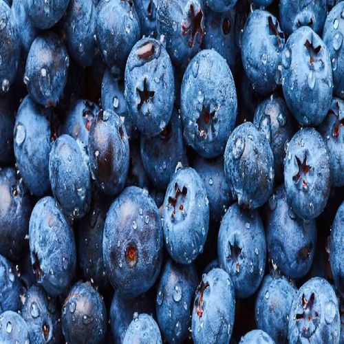 Organic And Natural Fresh Blueberry