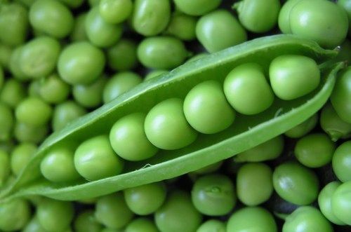 Organic and Natural Fresh Green Peas