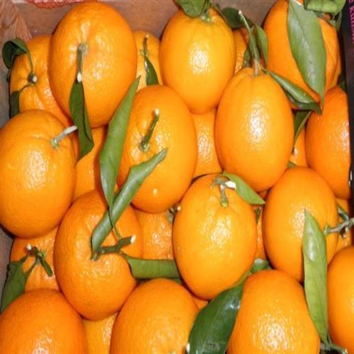 Organic and Natural Fresh Mandarin Orange