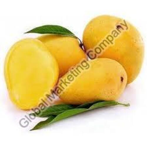 Yellow Healthy And Natural Fresh Mango