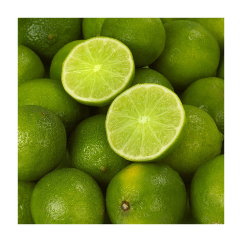 Round Fresh Green Seedless Lime Lemon