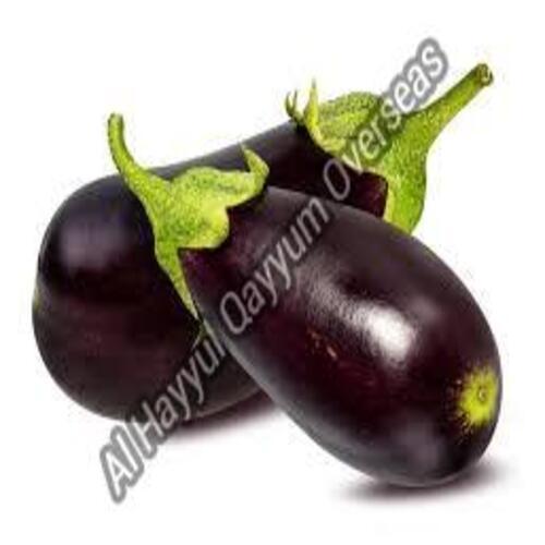 Organic and Natural Fresh Eggplant