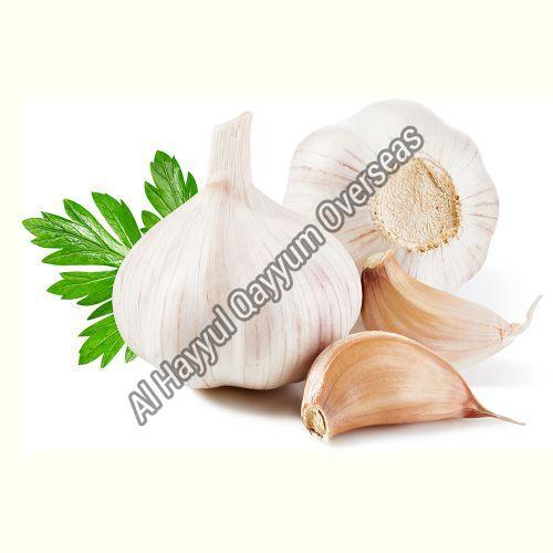 Organic and Natural Fresh Garlic