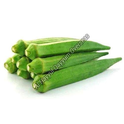 Organic And Natural Fresh Okra Moisture (%): 10 %