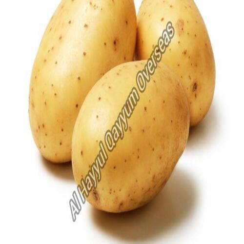 Round Organic And Natural Fresh Potato